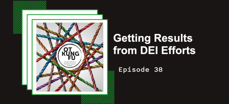 Episode 38 – Getting Results from DEI Efforts